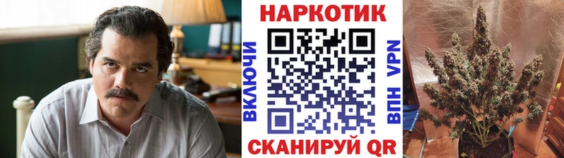 Купить наркотик Адыгейск Каннабис  Codein  Альфа ПВП  Меф мяу мяу  ГАШИШ  Кокаин 