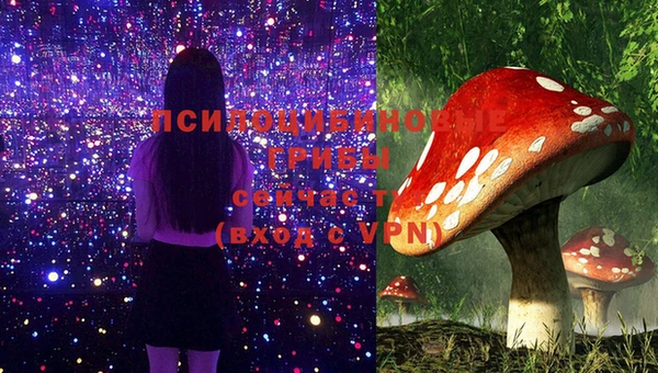 MDMA Пересвет