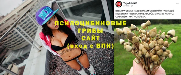 MDMA Пересвет