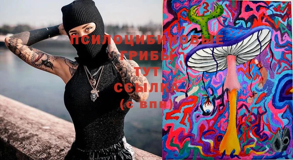 MDMA Пересвет