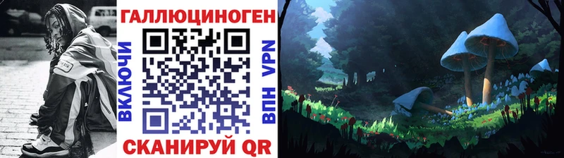 Псилоцибиновые грибы мицелий  МЕГА маркетплейс  Адыгейск  как найти наркотики 